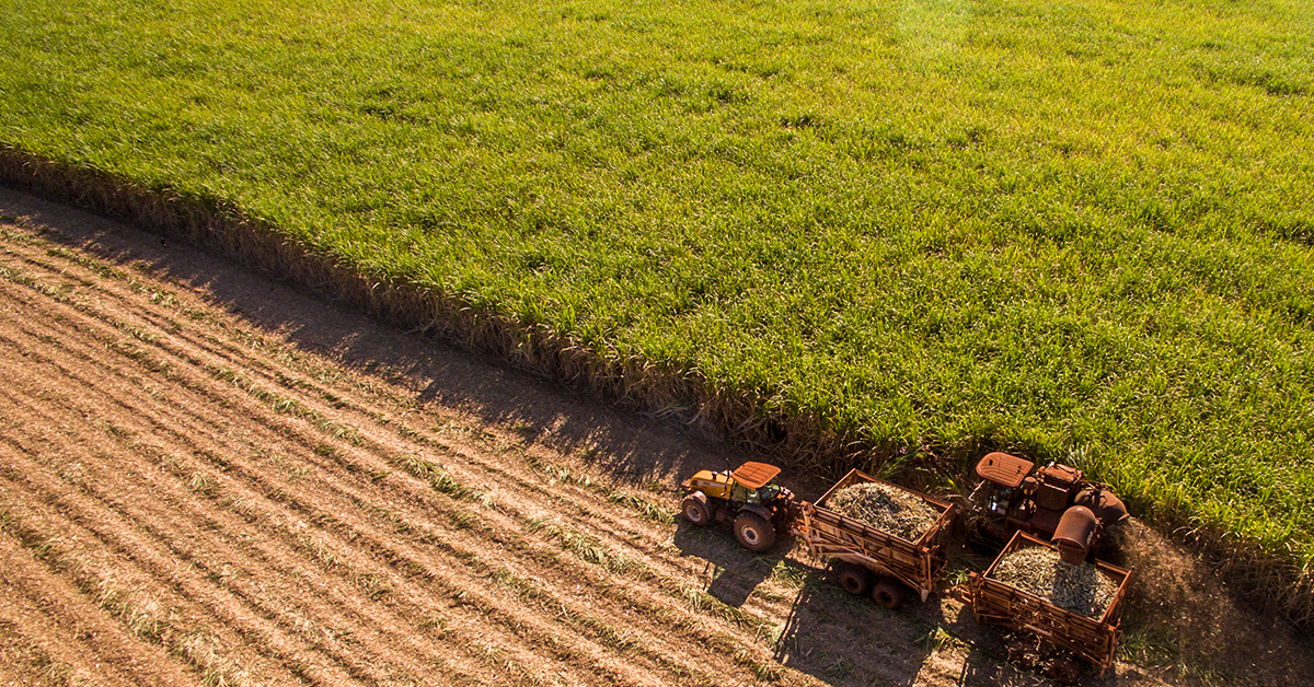 Agriculture Accounting and Agribusiness Consulting Firm Wipfli