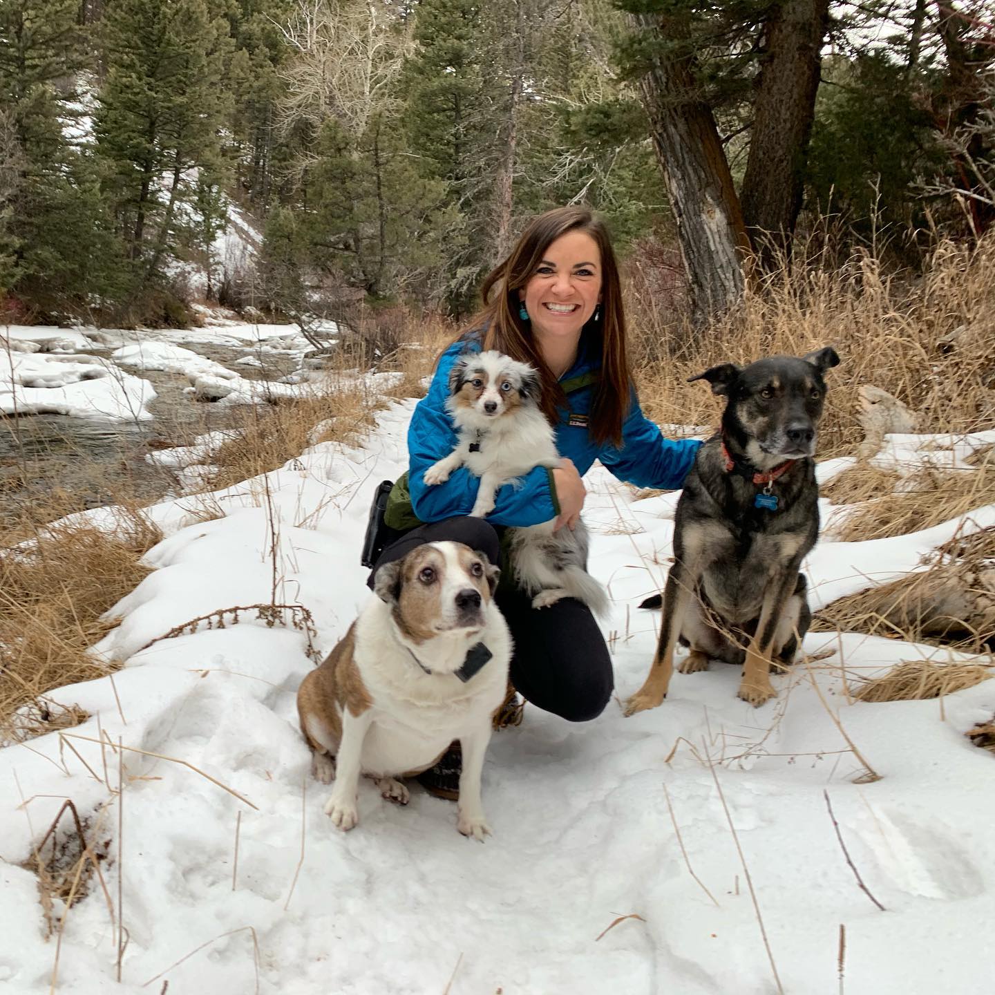 Rachel’s three dogs are frequent companions during hikes.