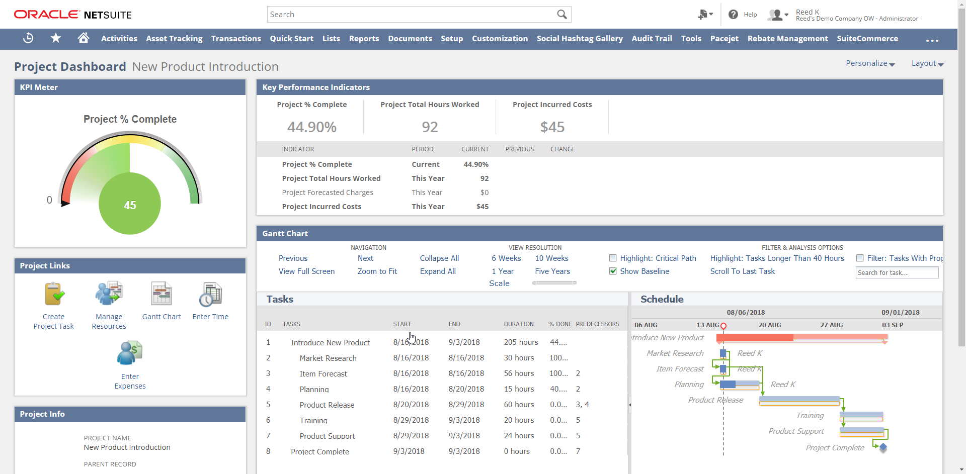 Project Dashboard NetSuite