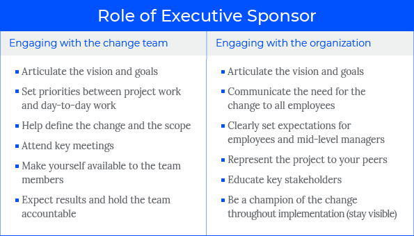 Role of Executive Sponsor