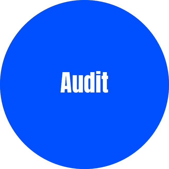 Audit services