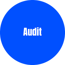 Audit services